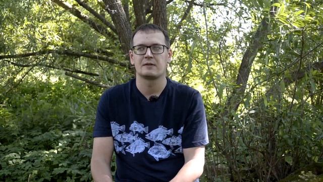 Где купить катушку для спиннинга.DAIWA и SHIMANO дешевле 150$? смотреть онлайн