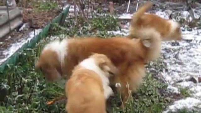 MVI 8361 смотреть онлайн