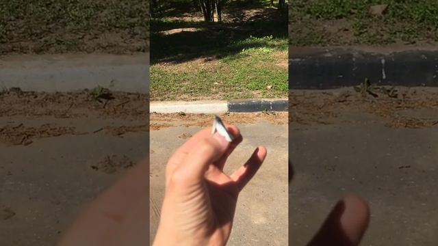 Как взлетает бабочка в замедленном виде смотреть онлайн