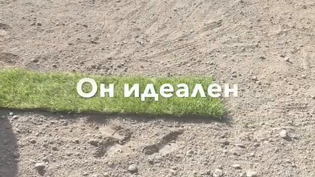 Рулонный газон смотреть онлайн