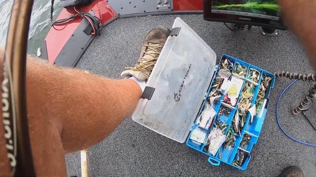 Gulp Alive Minnow Versus A Real Minnow смотреть онлайн