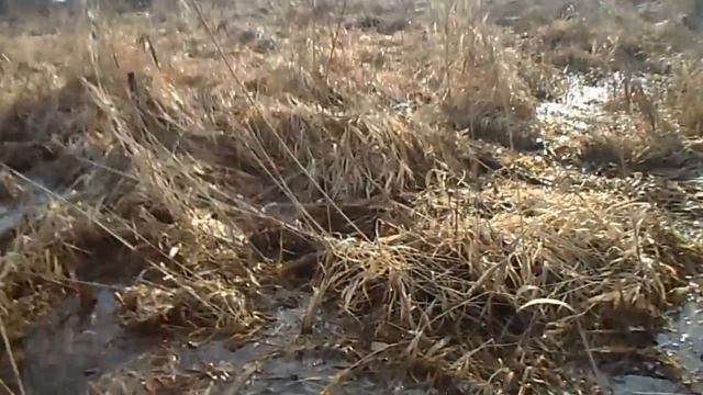 Ловля на воблеры в марте(Vision 110).Есть результат. смотреть онлайн