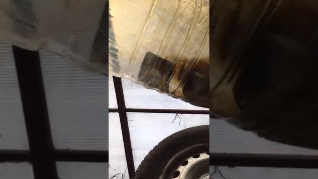 Когда менять масло после КАПИТАЛКИ? смотреть онлайн