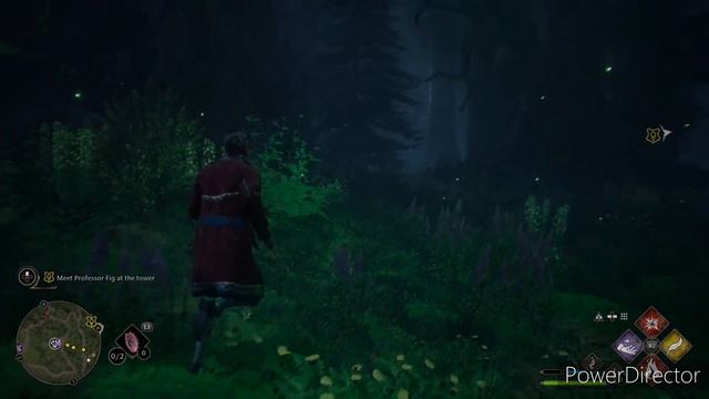 Hogwarts Legacy PS5 : How to Ride the Unicorn ? смотреть онлайн
