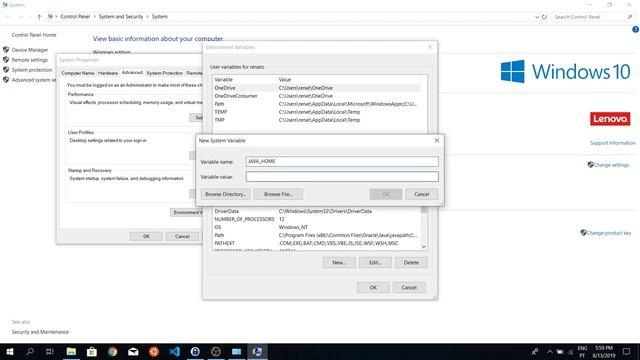 Installing the JAVA JDK 8 and Setting JAVA_HOME (Windows 10) смотреть онлайн