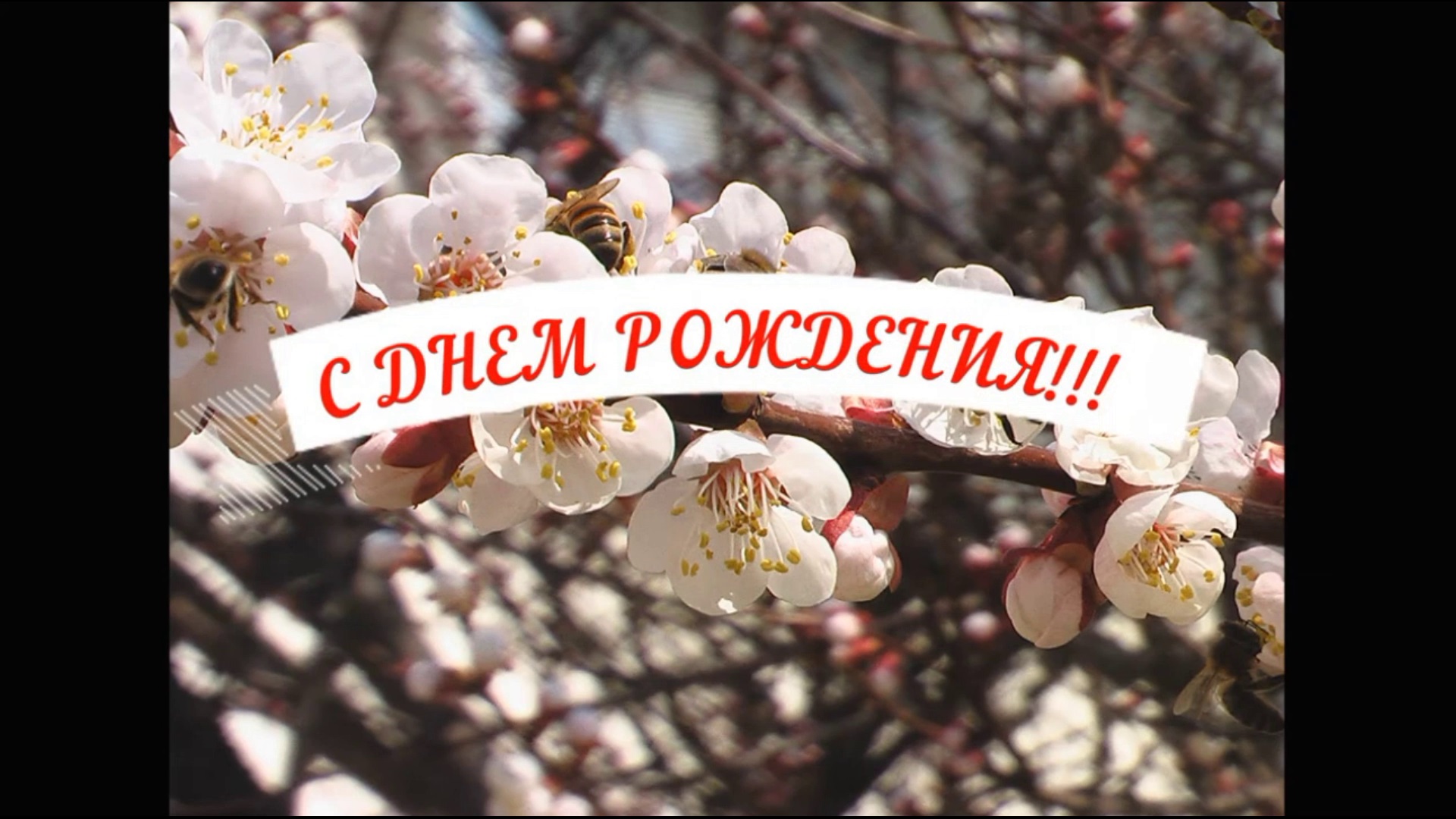 С ДНЕМ РОЖДЕНИЯ 3 смотреть онлайн