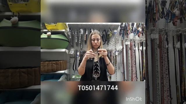 Строгий ошейник Sprenger Германия смотреть онлайн