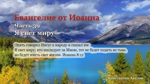 Евангелие от Иоанна | Часть 39  | Я свет миру | Константин Акулов