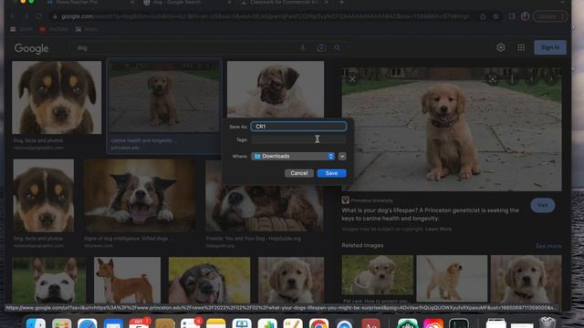 Photoshop Project: How To Search High Resolution Images via Google Images смотреть онлайн