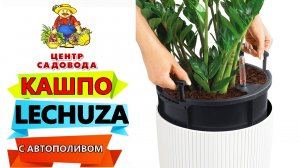 Супер КАШПО с АВТОПОЛИВОМ! Lechuza! Как пользоваться?