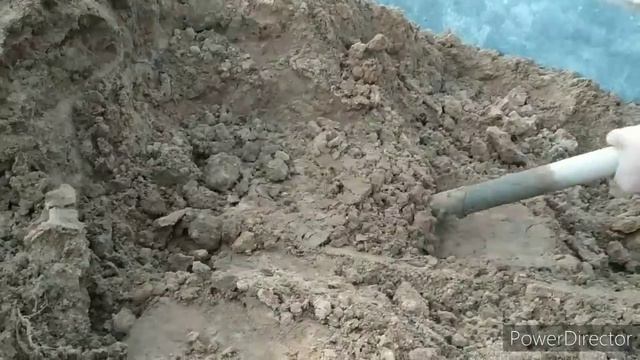 ЗАГОН для ДИКИХ КАБАНОВ на МОЕЙ УСАДЬБЕ! смотреть онлайн