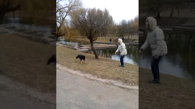 весна и моя дрессированная собака... смотреть онлайн