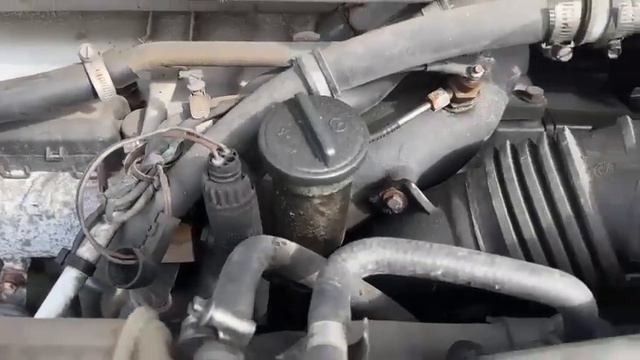 7023, Mercedes 815 Vario, 24 seats, Peterbus VIDEO 4 смотреть онлайн