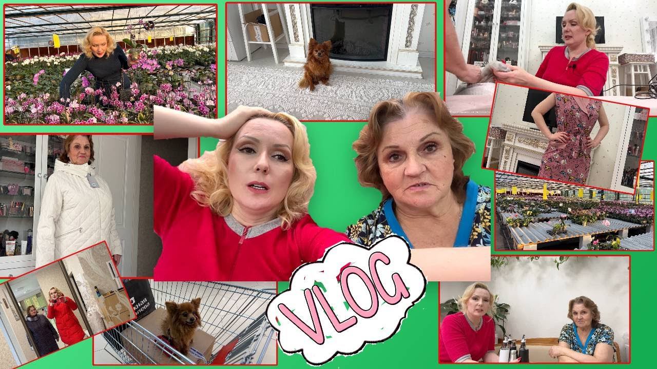 VLOG С МАМОЙ// ТЕПЛИЦА С ОРХИДЕЯМИ, ОБНОВКИ ДЛЯ МАМЫ, МИСТИКА С ПОРТРЕТОМ и пр. смотреть онлайн