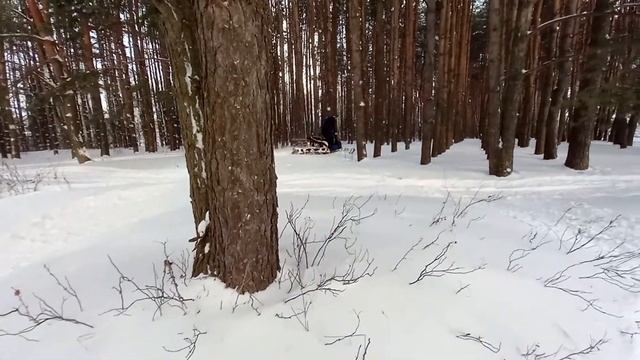 #мухтар15 #мотобукс #мотособака #мотодруг #сезоноткрыт #зима #зима2021 #мотобуксировщик #мухтар (4 смотреть онлайн