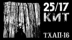 25/17 п.у. Кит «ТХАП-16»