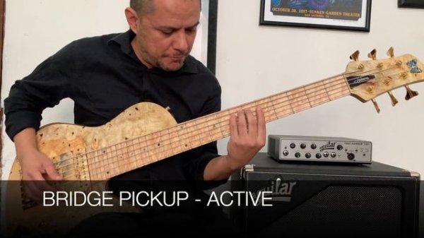 FODERA EMPEROR II ELITE "33   ACTIVE/PASSIVE DEMO