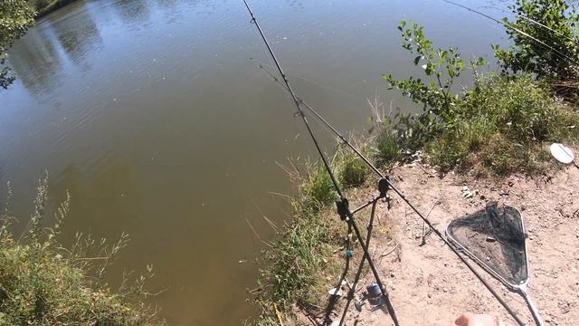 Голавль на бойлы рыбалка на дикой речке смотреть онлайн