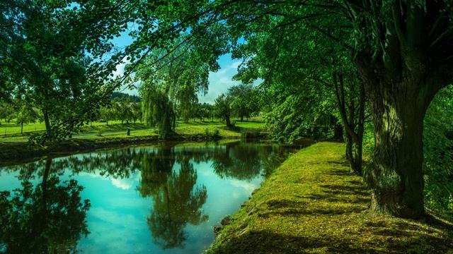 О чем молчат аутисты. смотреть онлайн