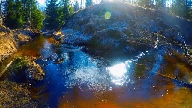 Река Кожица (бывшая российско-финская граница) смотреть онлайн