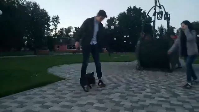 Бешеный пёс кусает злого чеченца смотреть онлайн