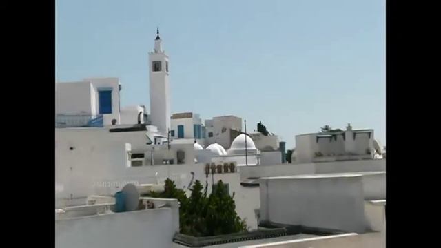 White and Blue City смотреть онлайн