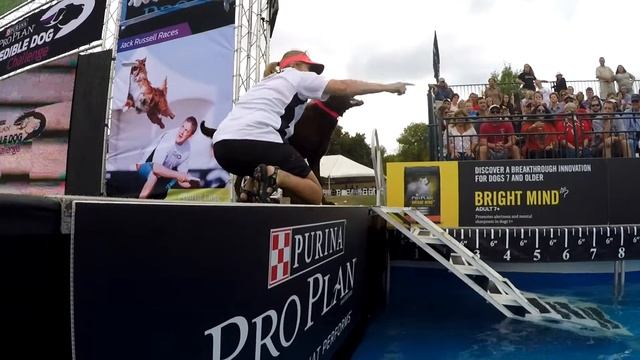 2015 ProPlan Incredible Dog Challenge - Brooklyn's Fetch It jump смотреть онлайн