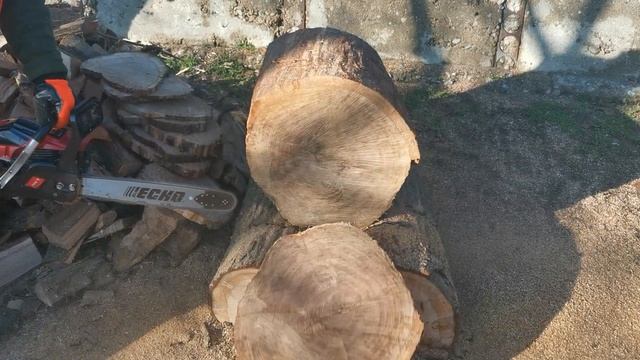 Druja Voinic și Husqvarna 181 se taie buștean de Stejar. смотреть онлайн