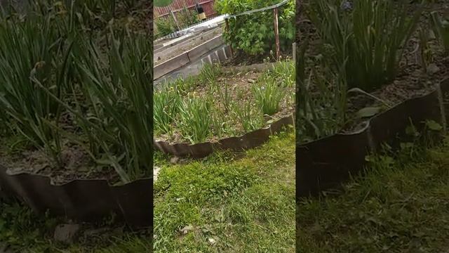 Прыгаем с качелей смотреть онлайн