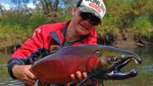 Ловля спиннингом на микроречках. Graphiteleader Aspro 702ML