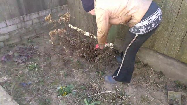 Погода просто супер! / Очередной побег из курятника? смотреть онлайн