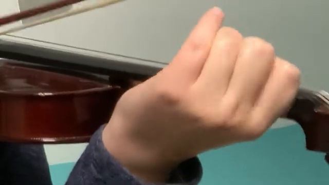 Lannigan’s Ball | Irish Folk Music | Fiddle