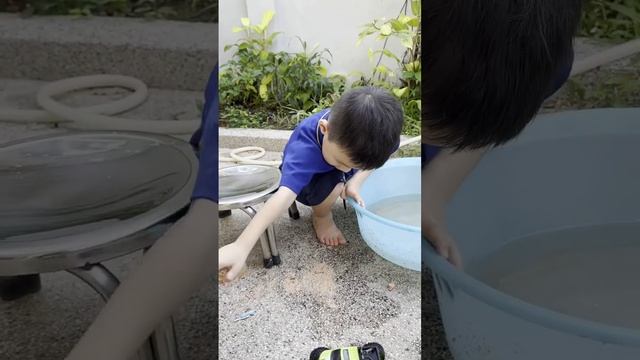 Explore Dino Egg with Jin смотреть онлайн