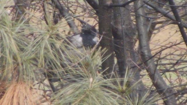 test photo ambient - fujifilm finepix s2980 смотреть онлайн