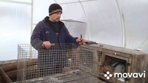 Как сделать клетку для кроликов из сетки.От А до Я