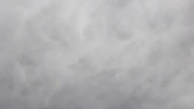 Сигнал охотника смотреть онлайн