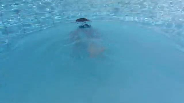 Diving Dong смотреть онлайн
