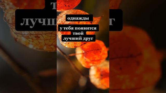 Ты наконец встретить того, кому сможешь доверять во всем... #поведениечеловека смотреть онлайн