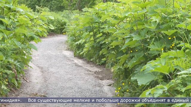 23.06.2022 Сахалин сегодня смотреть онлайн