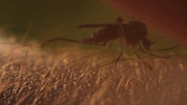 Будущая мама