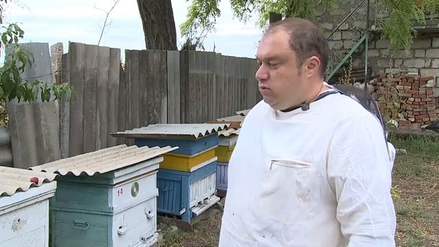 Мед – чудо природы смотреть онлайн