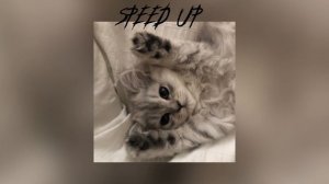 [☺️]~ПЕСНЯ ВЕРНИТЕ В МОДУ ЛЮБОВЬ ВЕРСИЯ (speed up)~🙇~