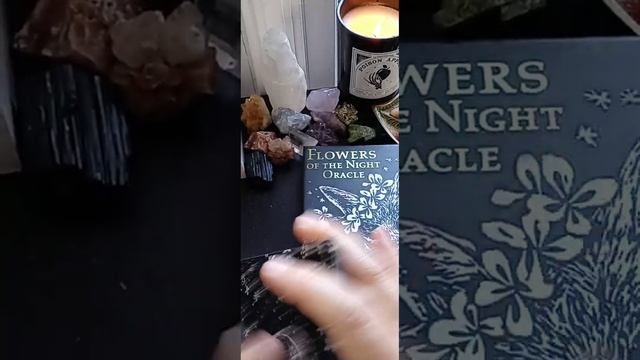 Sagittarius - Flowers of the Night Oracle смотреть онлайн