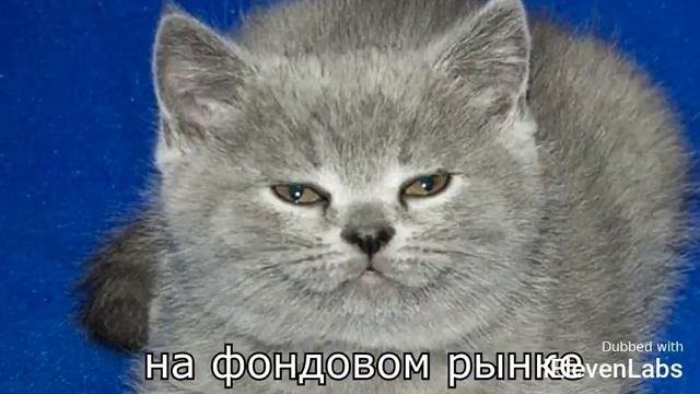 Томас и Уильям но теперь они китайцы))))) смотреть онлайн