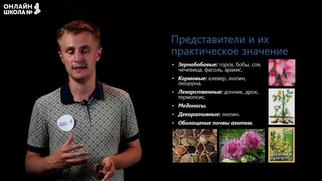 Семейства растений. Видеоурок 35. Биология 5 класс смотреть онлайн