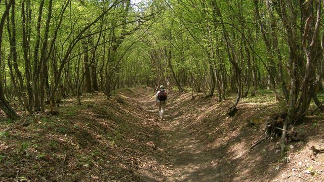 Shumen Plateau Nature Park | Wikipedia audio article смотреть онлайн