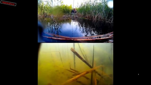 мой способ прикармливания рыбы смотреть онлайн