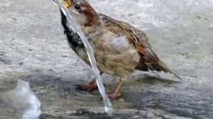 мы сидели у окна