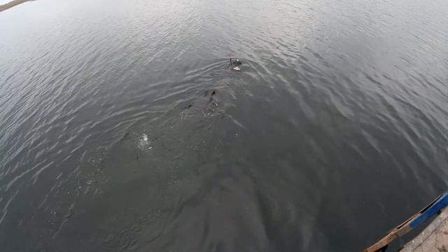 За щукой... смотреть онлайн