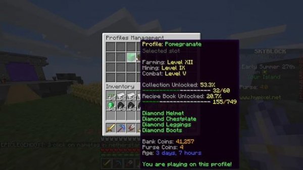 HOW TO RESET HYPIXEL SKYBLOCK PROFILE 100% WORKING | EpicLegendGamerYT